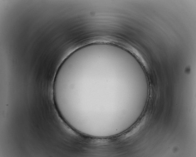 X0000103450802200809121124