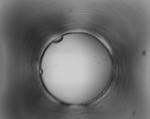 X0000103450805200809121124