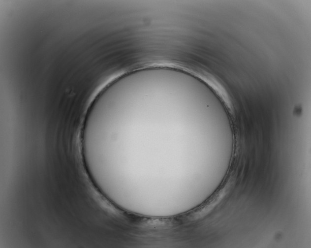 X0000103450806200809121124