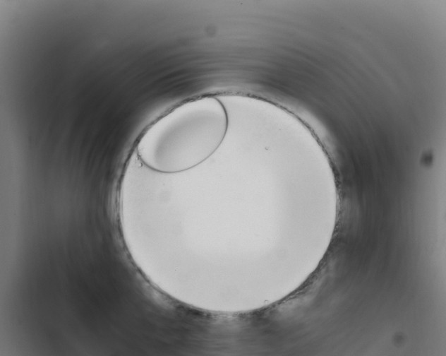 X0000103450807200809121124