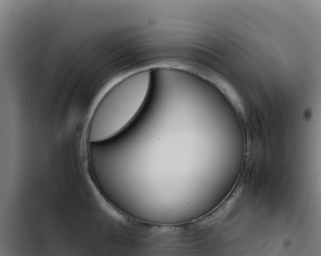X0000103450808200809121124