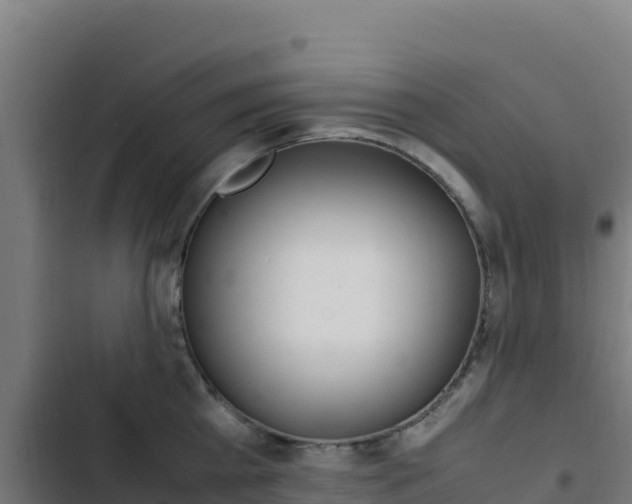 X0000103450809200809121124