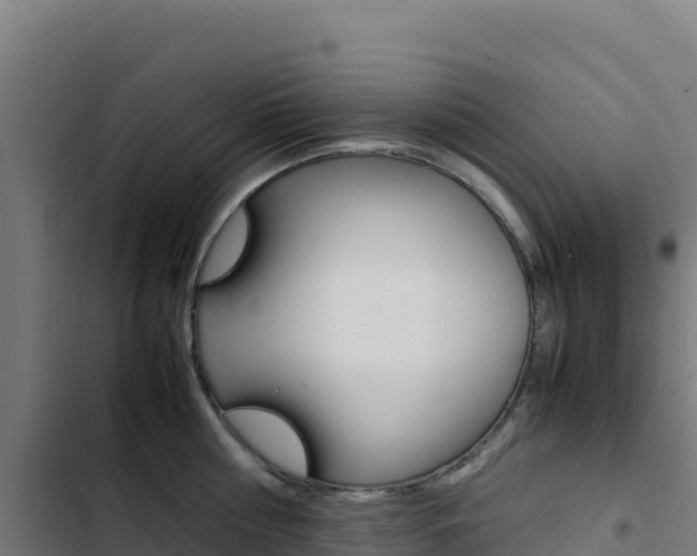 X0000103450810200809121124
