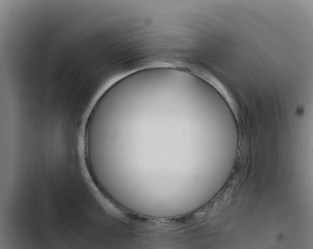 X0000103450811200809121124