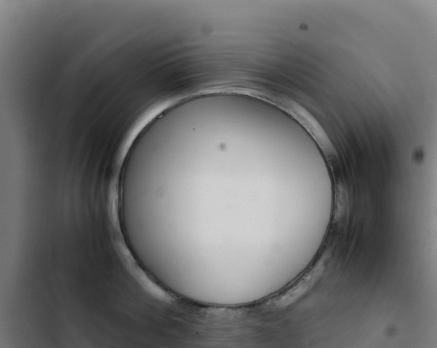 X0000103450812200809121124