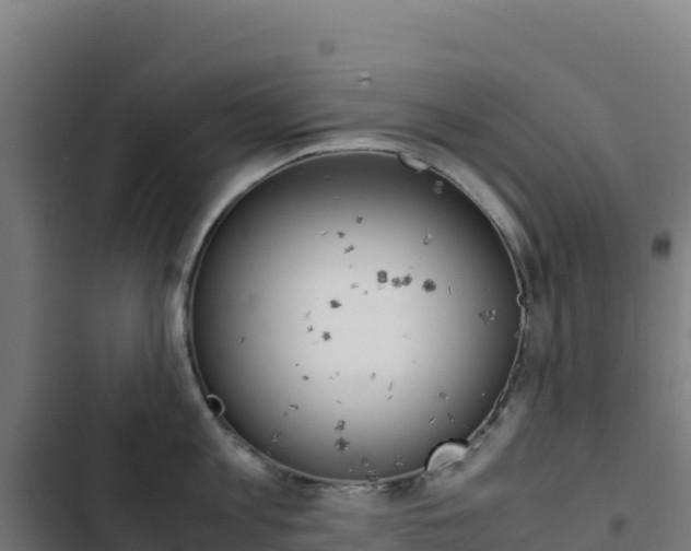 X0000103450813200809121124