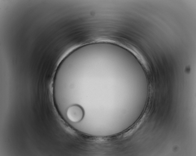 X0000103450814200809121124