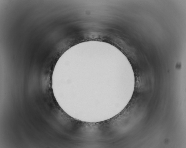 X0000103450820200809121123