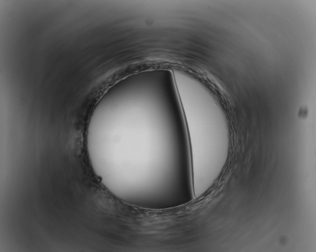 X0000103450821200809121123