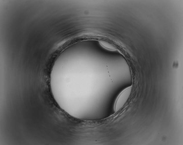 X0000103450822200809121123