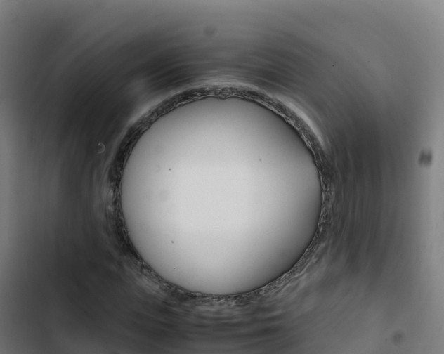 X0000103450823200809121123