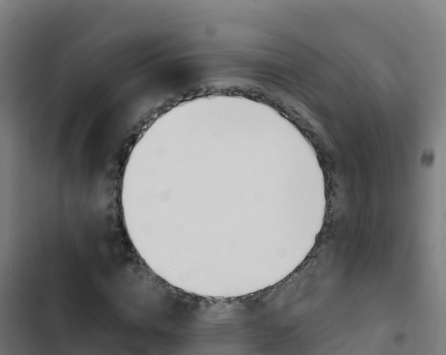 X0000103450824200809121123