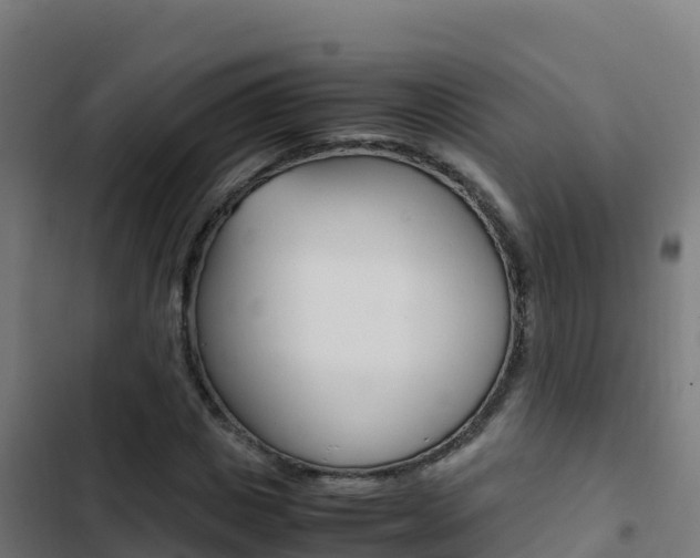 X0000103450825200809121123