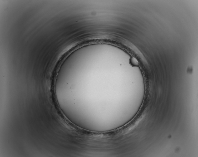X0000103450826200809121123