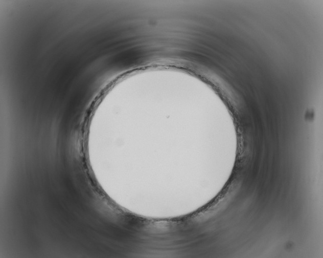 X0000103450828200809121123
