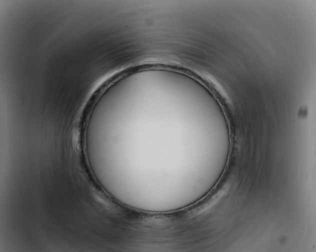 X0000103450830200809121123