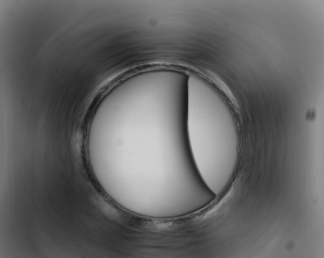 X0000103450831200809121123
