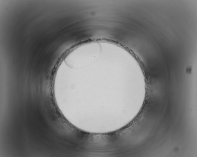 X0000103450832200809121123