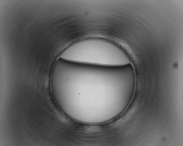 X0000103450833200809121123