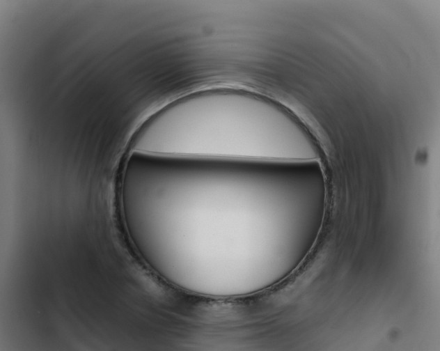 X0000103450834200809121123