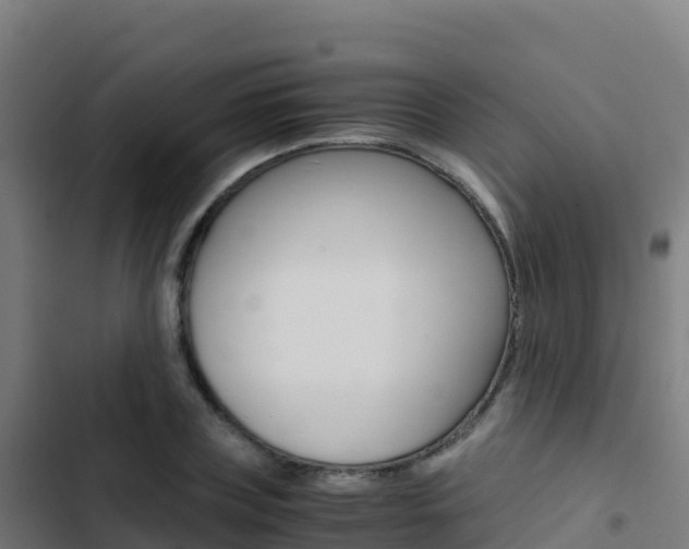 X0000103450835200809121123