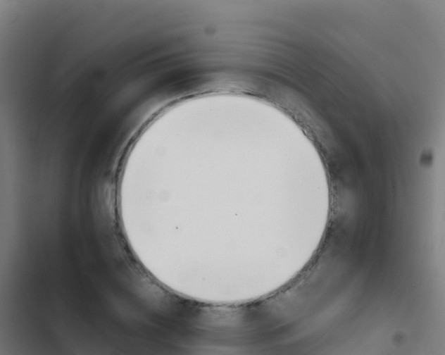 X0000103450836200809121123