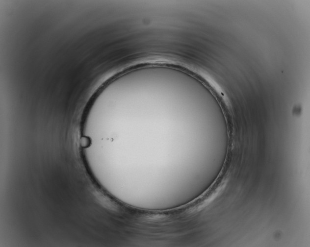 X0000103450837200809121123