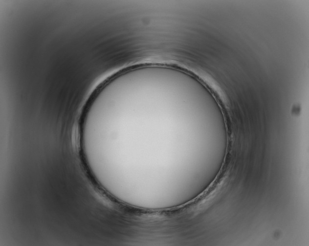 X0000103450838200809121123