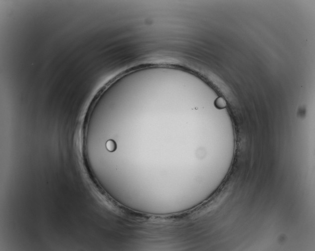 X0000103450840200809121123