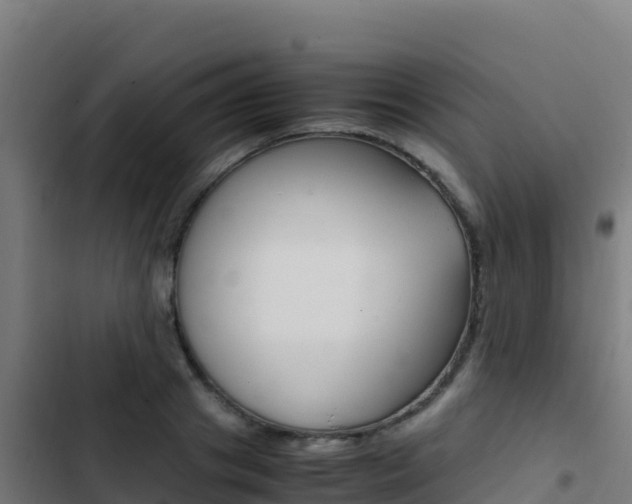 X0000103450841200809121123