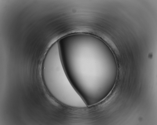 X0000103450842200809121123