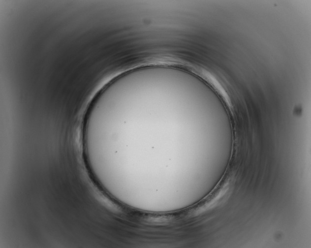 X0000103450843200809121123