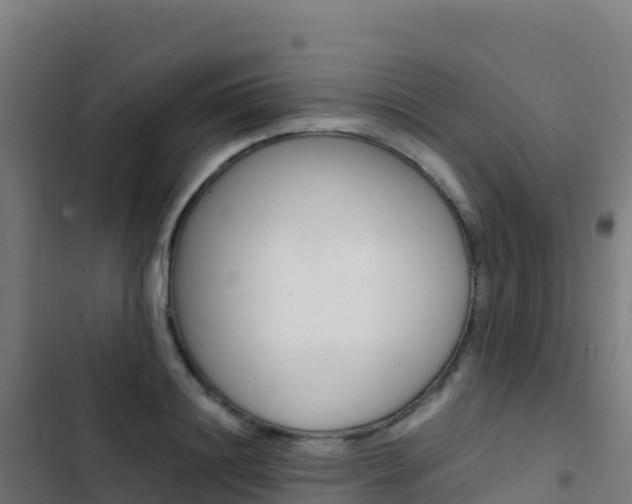 X0000103450844200809121123