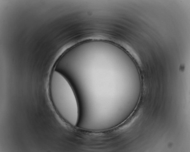 X0000103450845200809121123