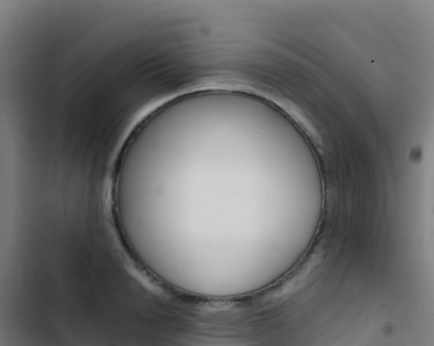 X0000103450846200809121123