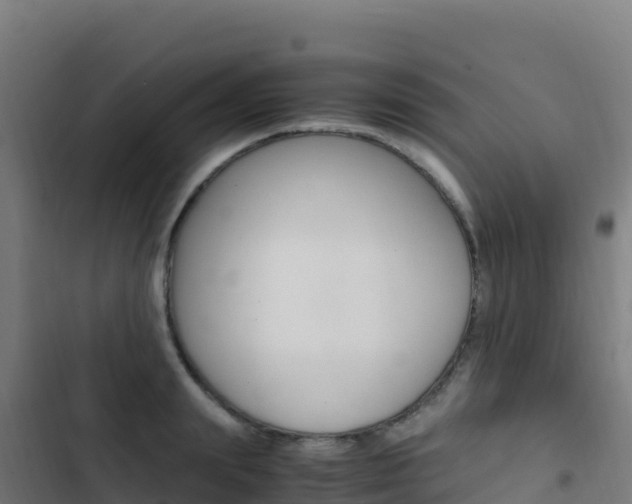 X0000103450847200809121123