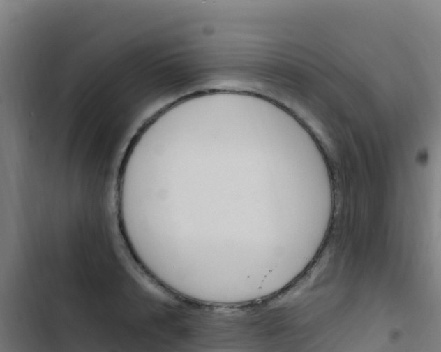X0000103450848200809121123
