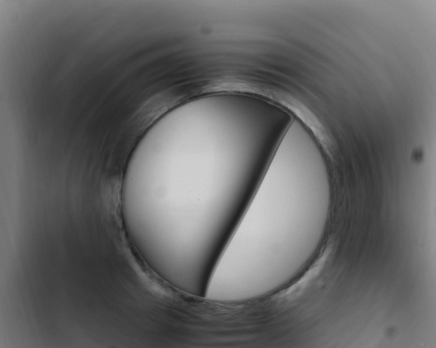 X0000103450849200809121123