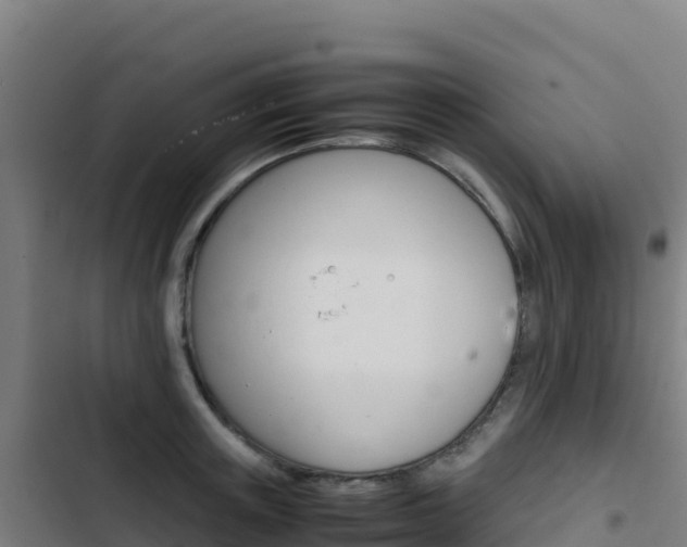 X0000103450851200809121123
