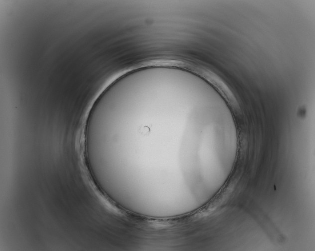 X0000103450852200809121123