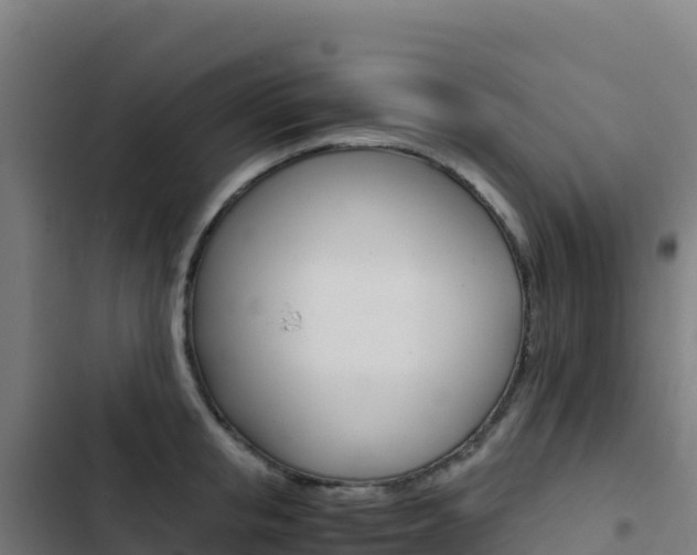 X0000103450853200809121123