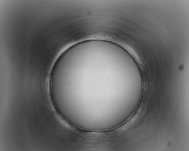 X0000103450854200809121123