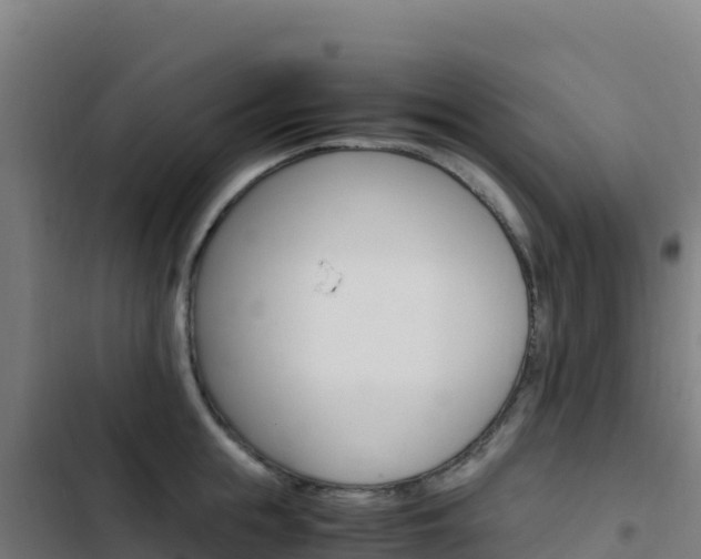 X0000103450855200809121123