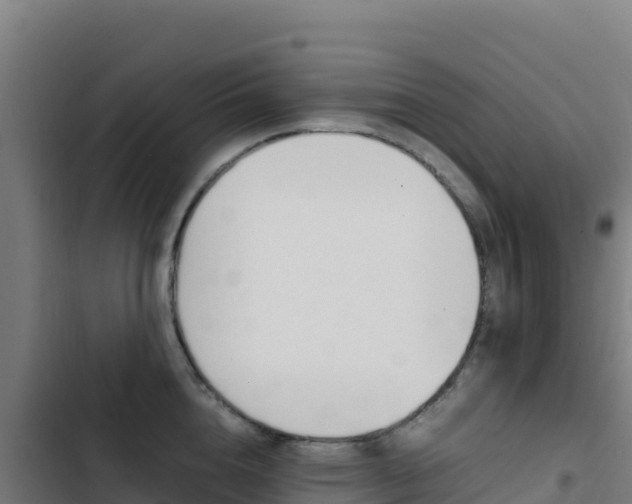 X0000103450856200809121124