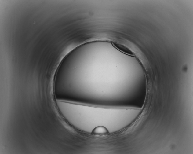 X0000103450858200809121124