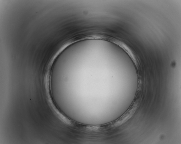 X0000103450859200809121124