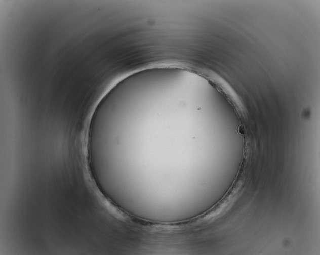 X0000103450860200809121124