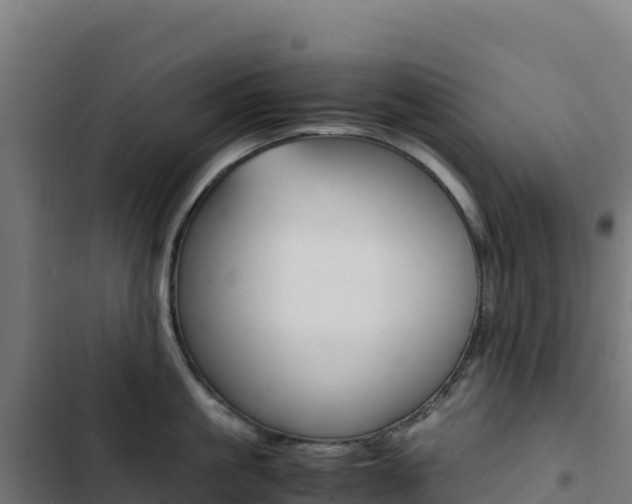 X0000103450861200809121124