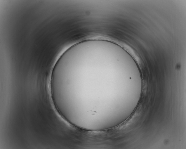 X0000103450863200809121124
