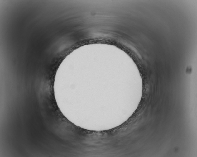 X0000103450869200809121123